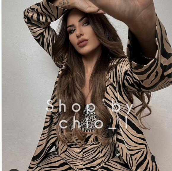 Zara ANIMAL PRINT SATIN EFFECT BLAZER zebra bloggers Favorite - Picture 7 of 16